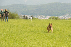 CRU_4067